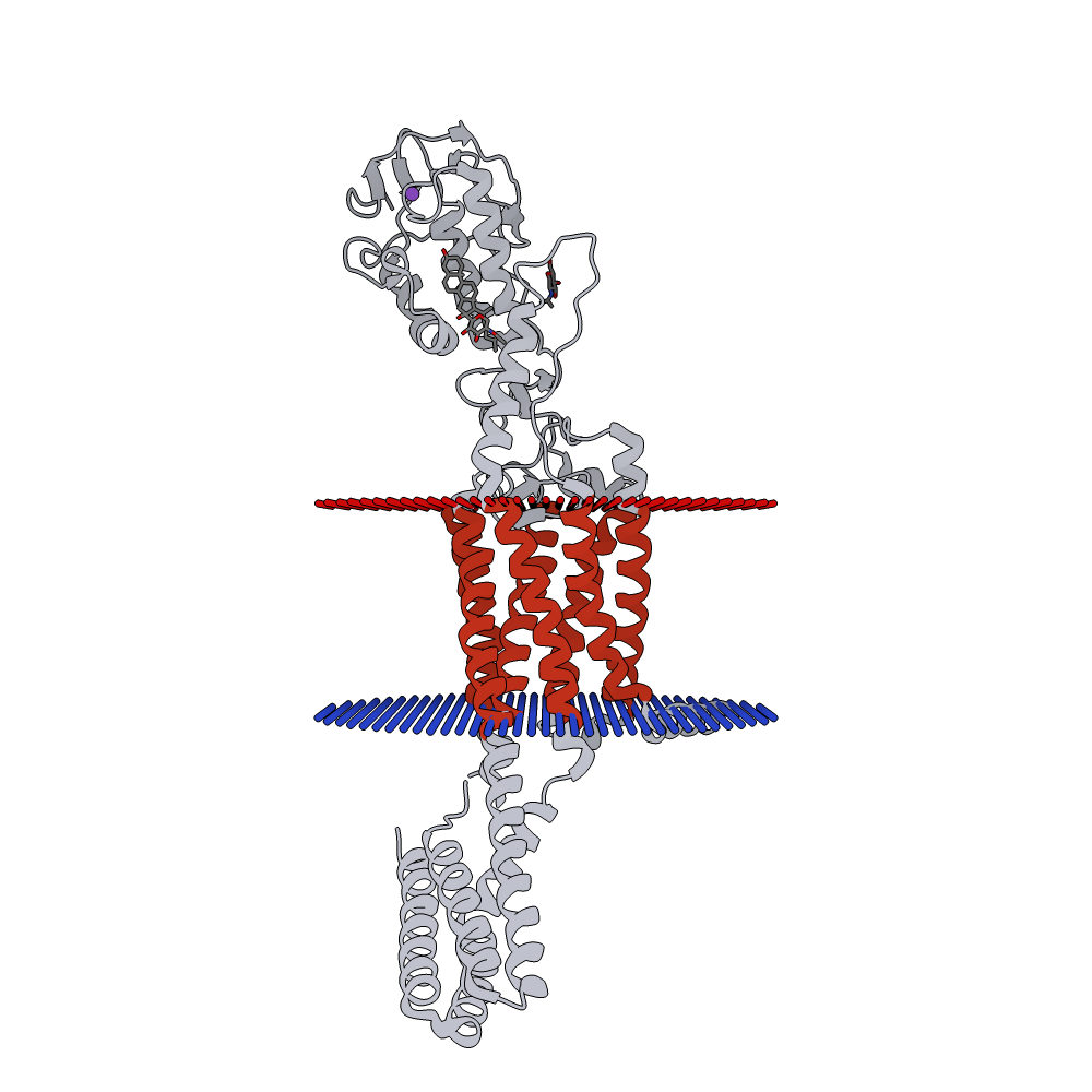 Smoothened protein structure