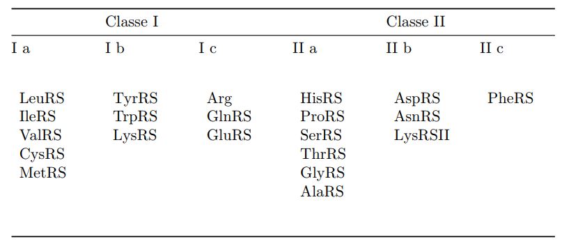 Classificazione degli aaRS, tabella