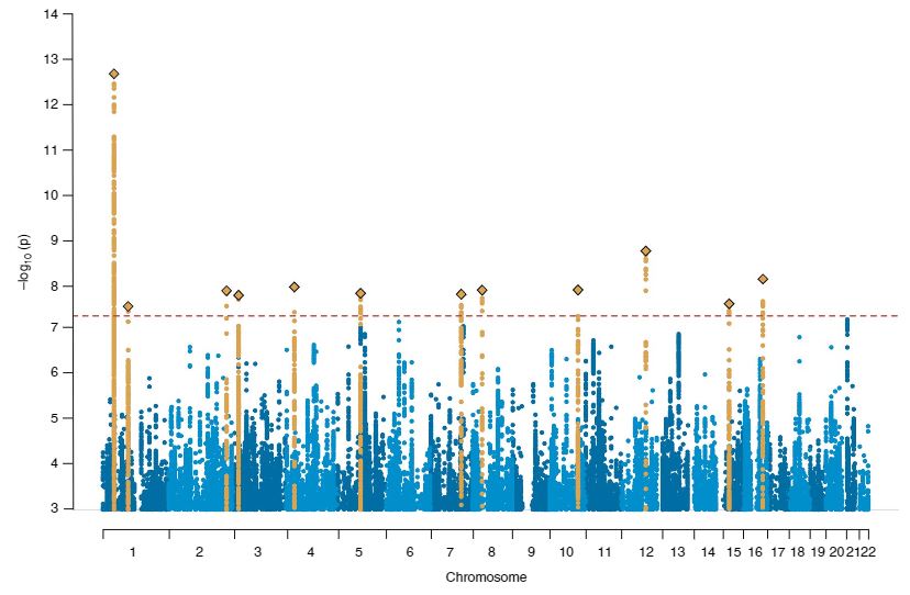 12 loci significativi rilevanza statistica ADHD attenzione deficit