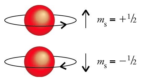 Momento angolare quantistico di Spin