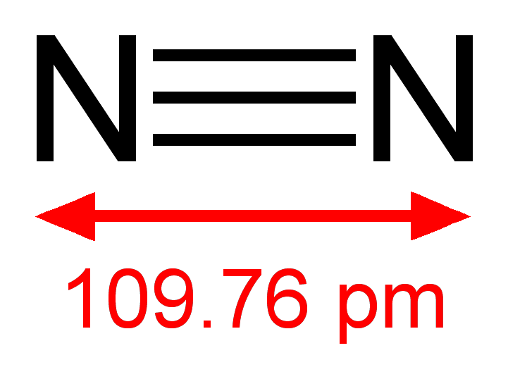 dinitrogen