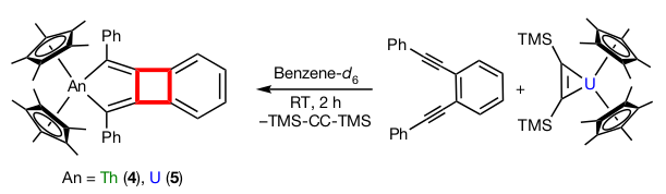 attinidi-sintesi-ciclobuta-2