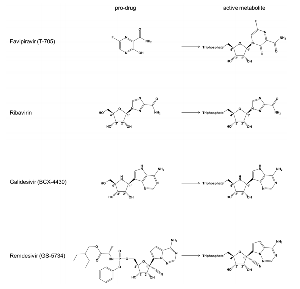 remdesivir-analoghi-profarmaco