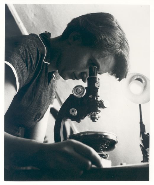 Rosalind_Franklin